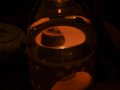 DSC_8527.JPG